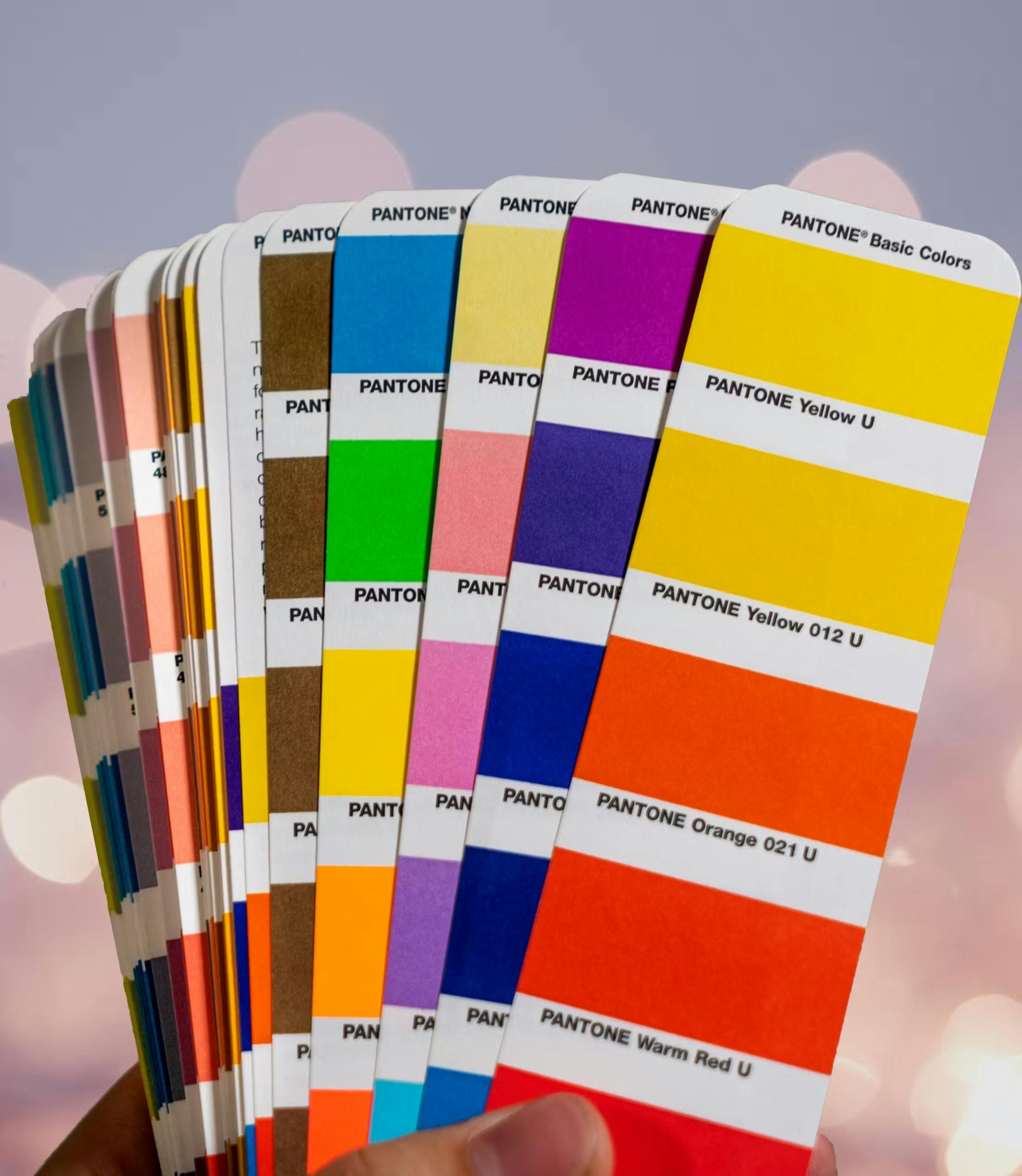 Strips coloridos