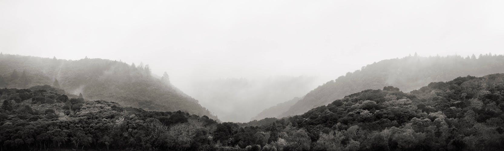 promontory fog panorama