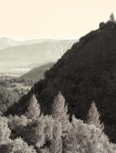 Promontory | Home | Story Promontory | Home | Story
