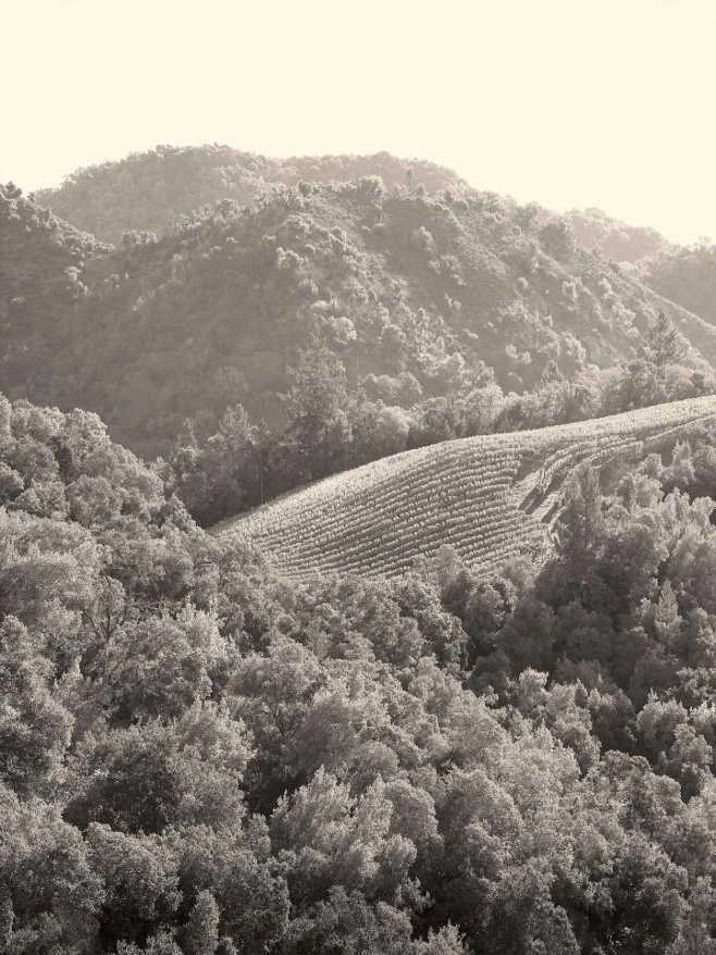 Promontory | Home | Story Promontory | Home | Story