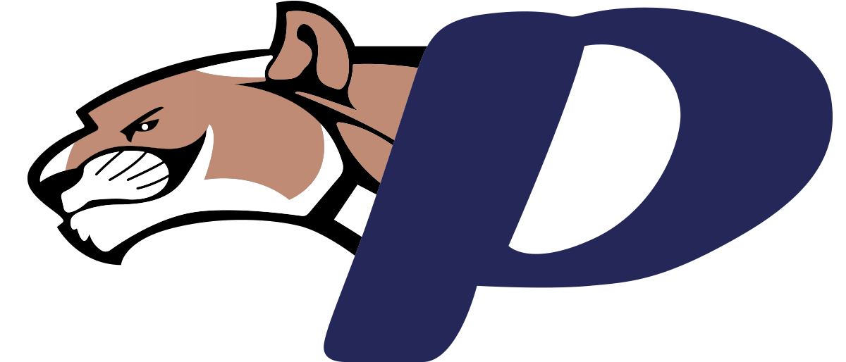Promo Connections Logo