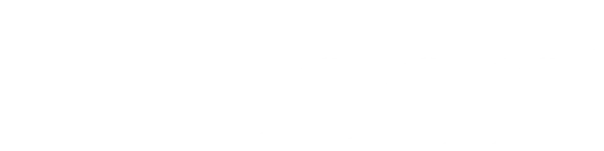 Leon logo