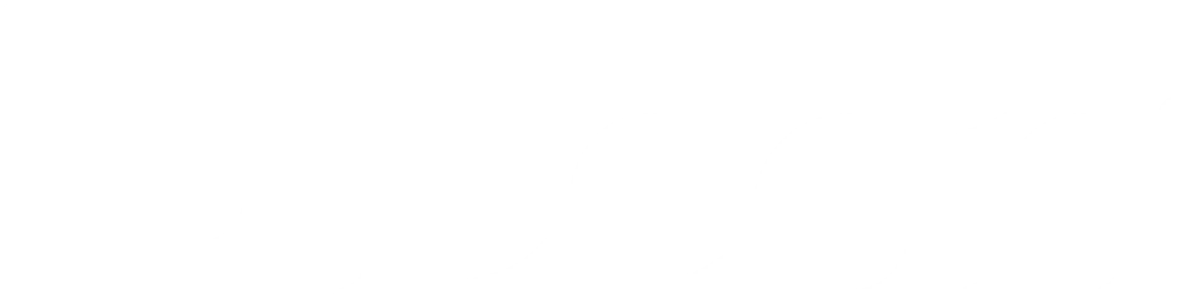 Leon logo