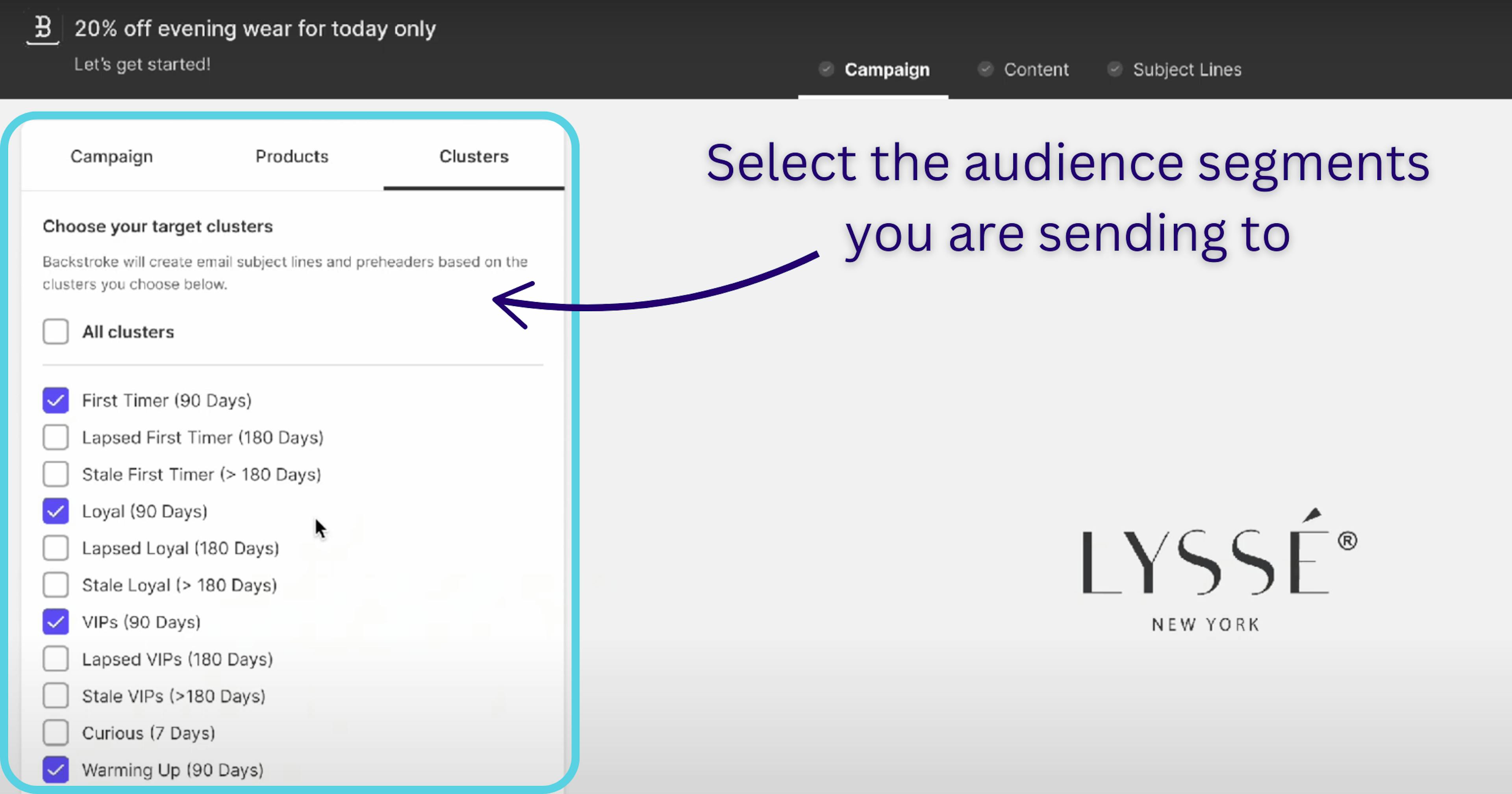 personalized email audience segments can be selected in the AI email generator