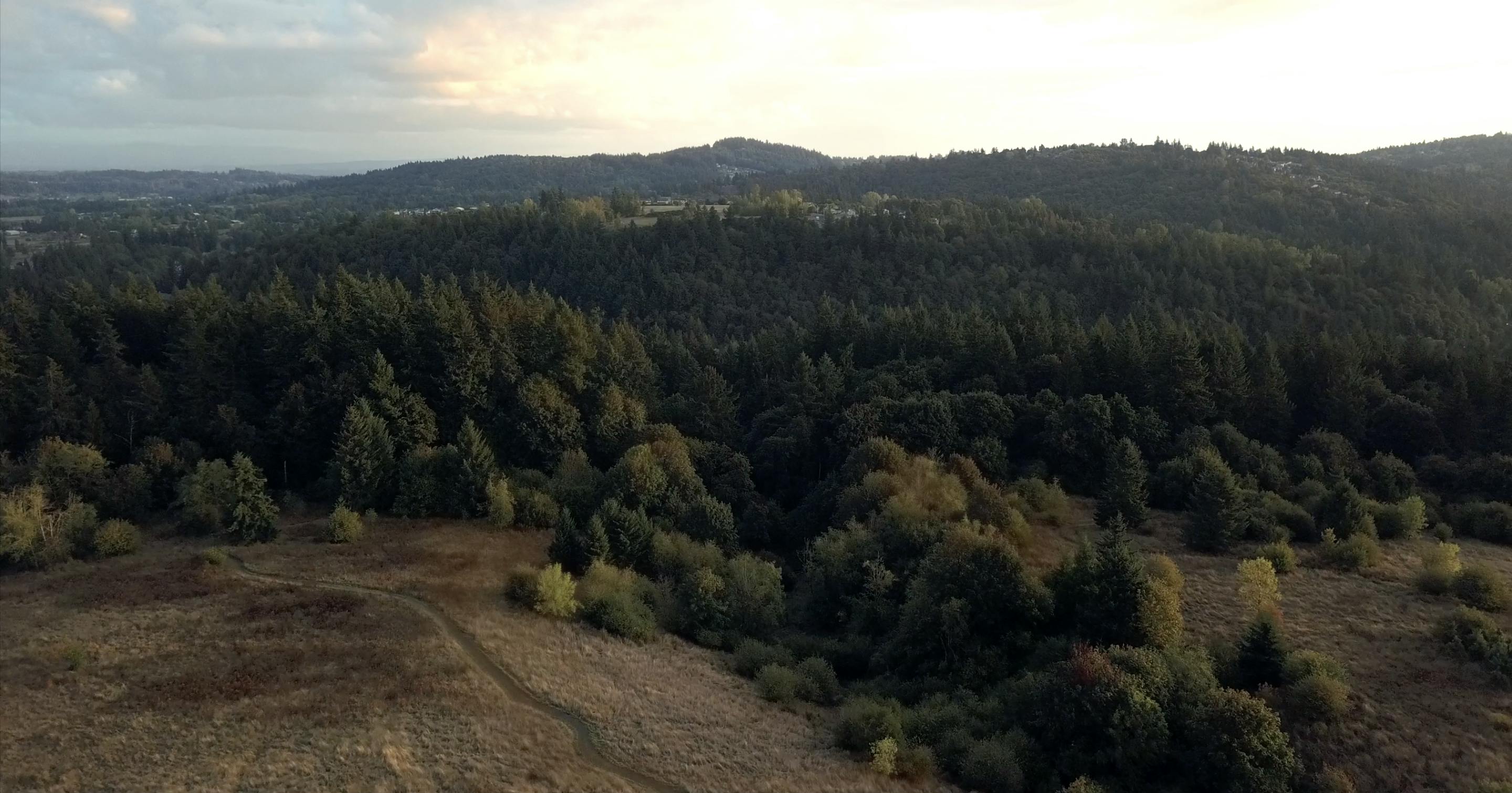 Photo of mountainous forest landscape.