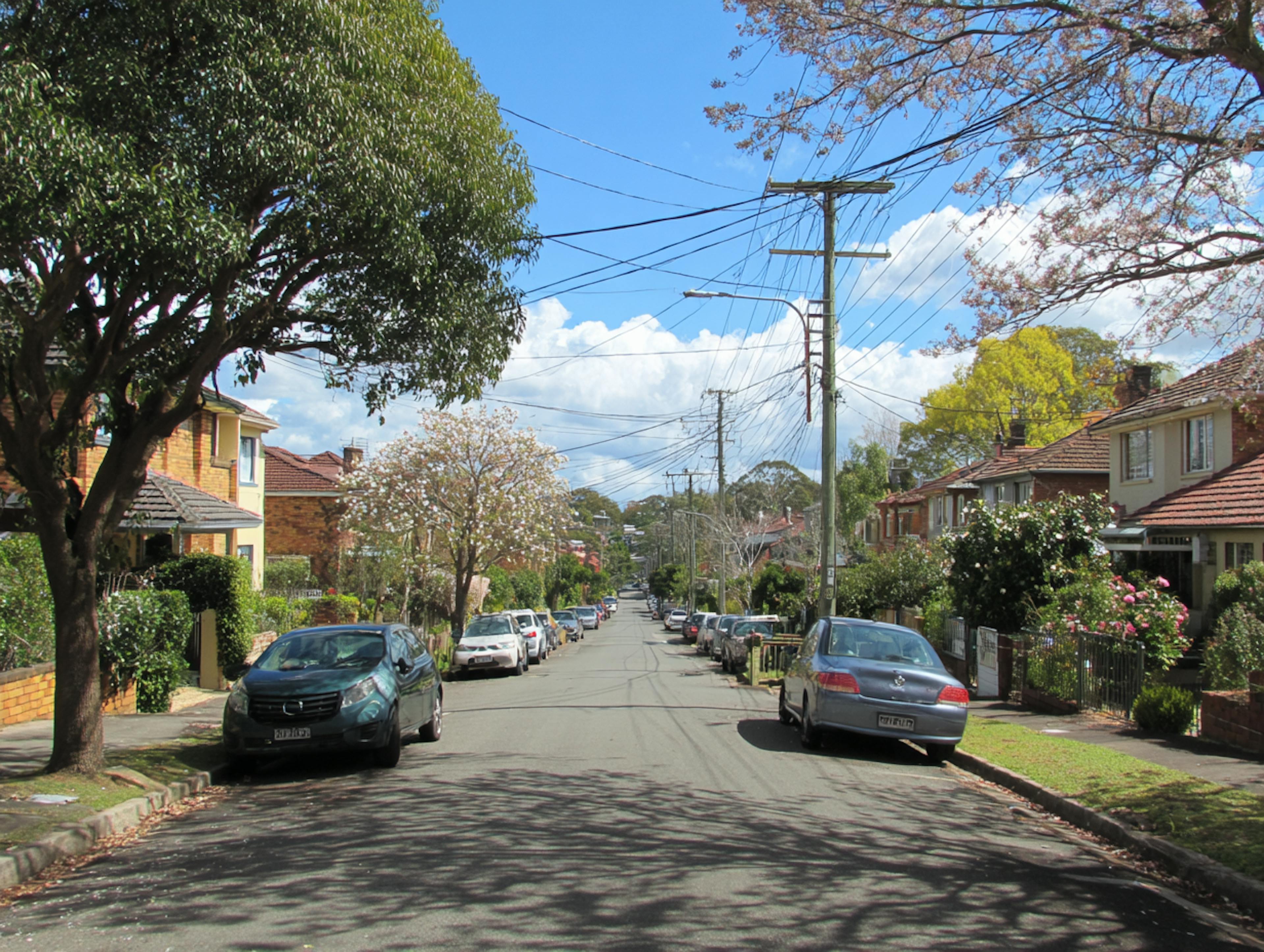 australia suburban street 