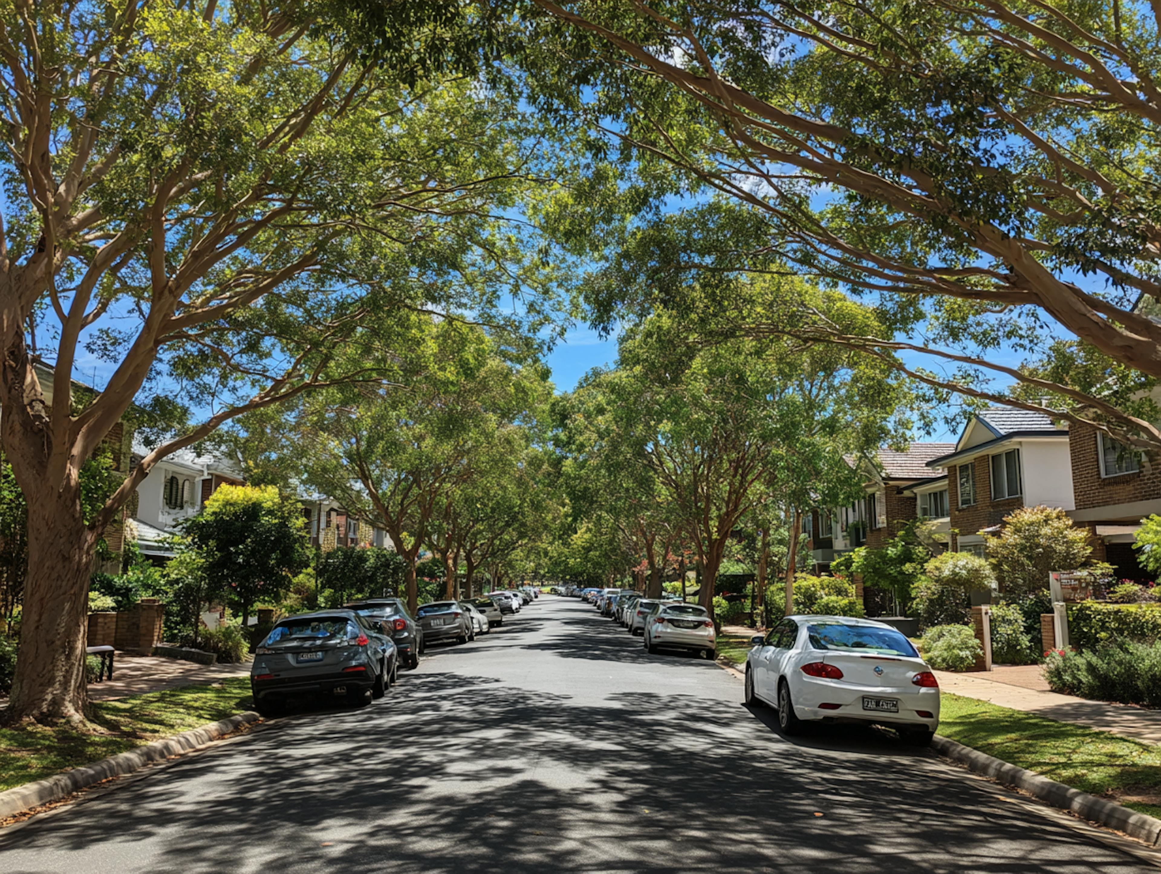 Sydney suburban street