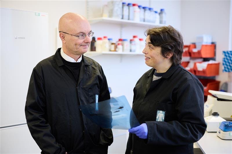 Researchers in lab