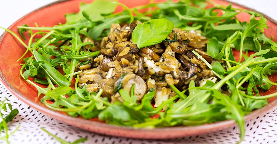 Protiplan Koolhydraatarme Rijst Met Paddenstoelen En Truffel