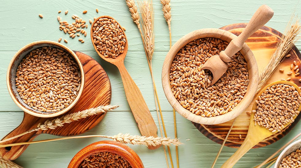 Dieetwebshop Blog Glutenvrij Dieet