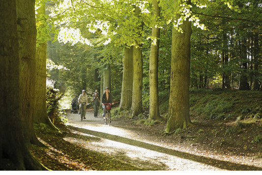 Balade velo foret de soignes Clearance