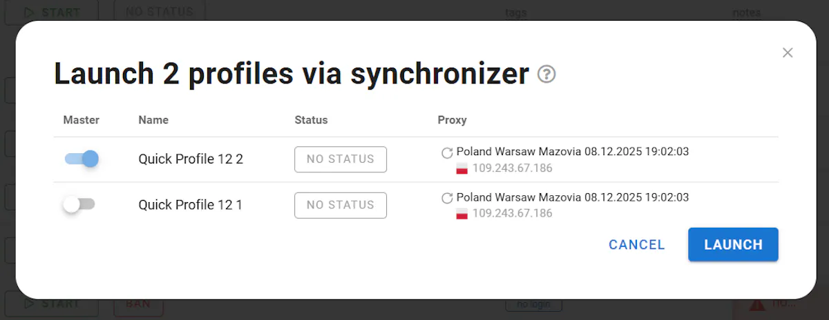 Launching two browser profiles together via Dolphin Anty's synchronizer