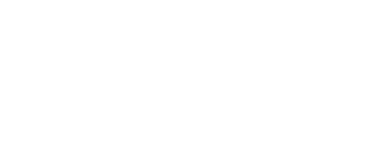 Alunid company logo