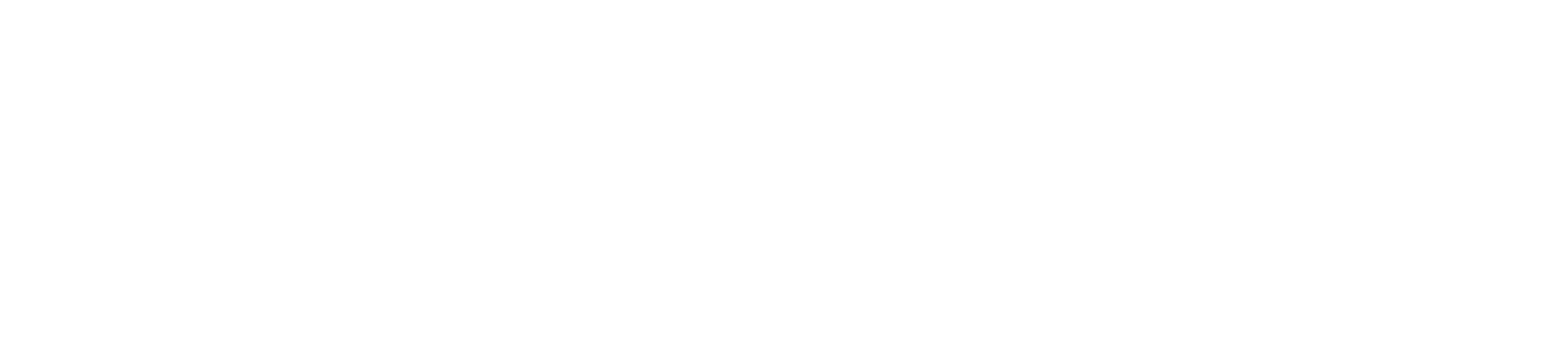 Wietpol areospace company logo