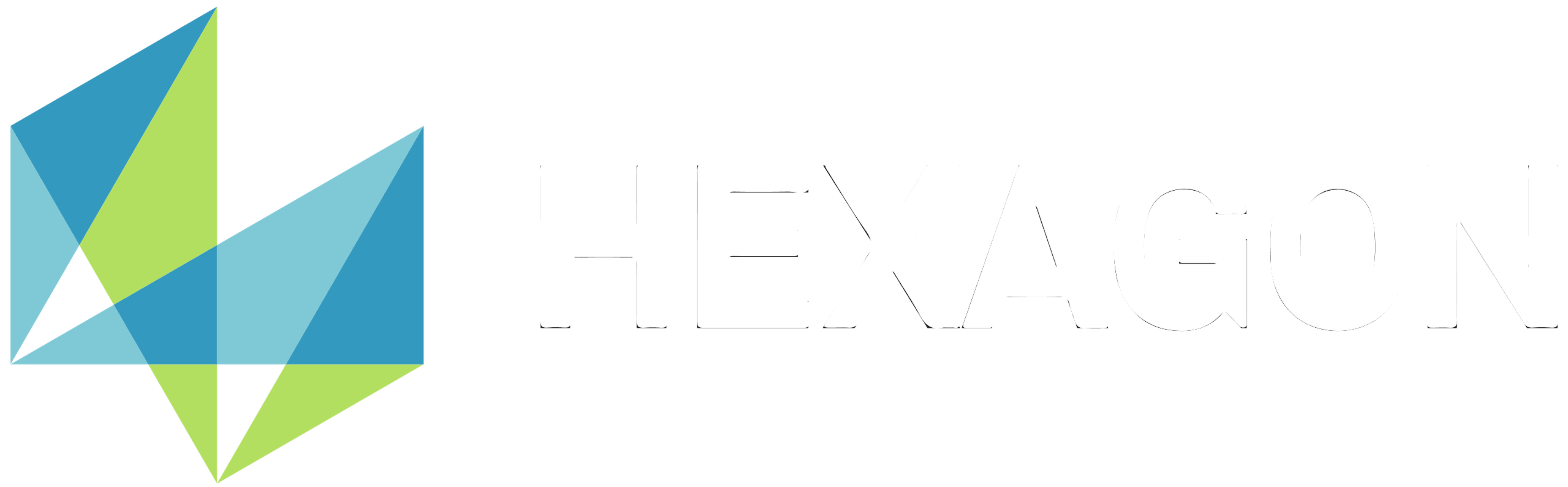 Hexagon company logo