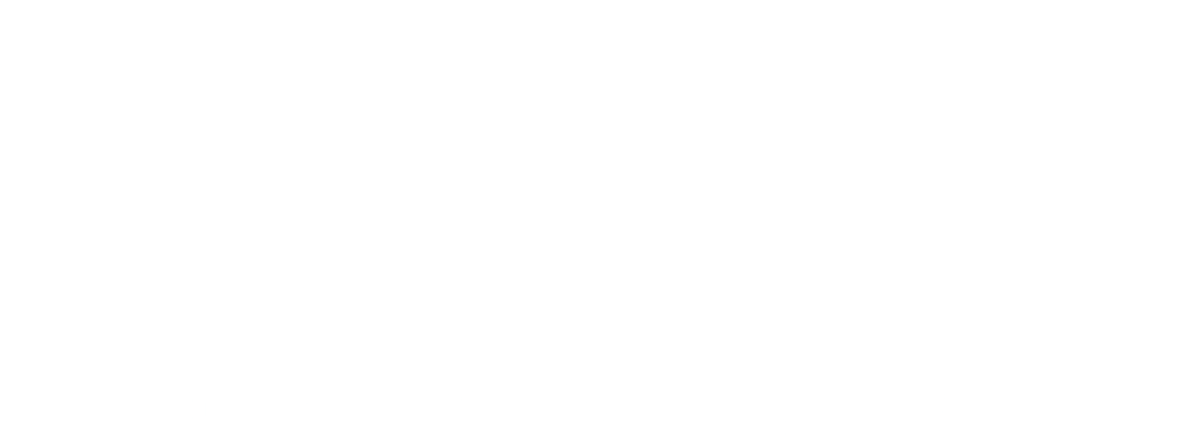 DPS Software logo