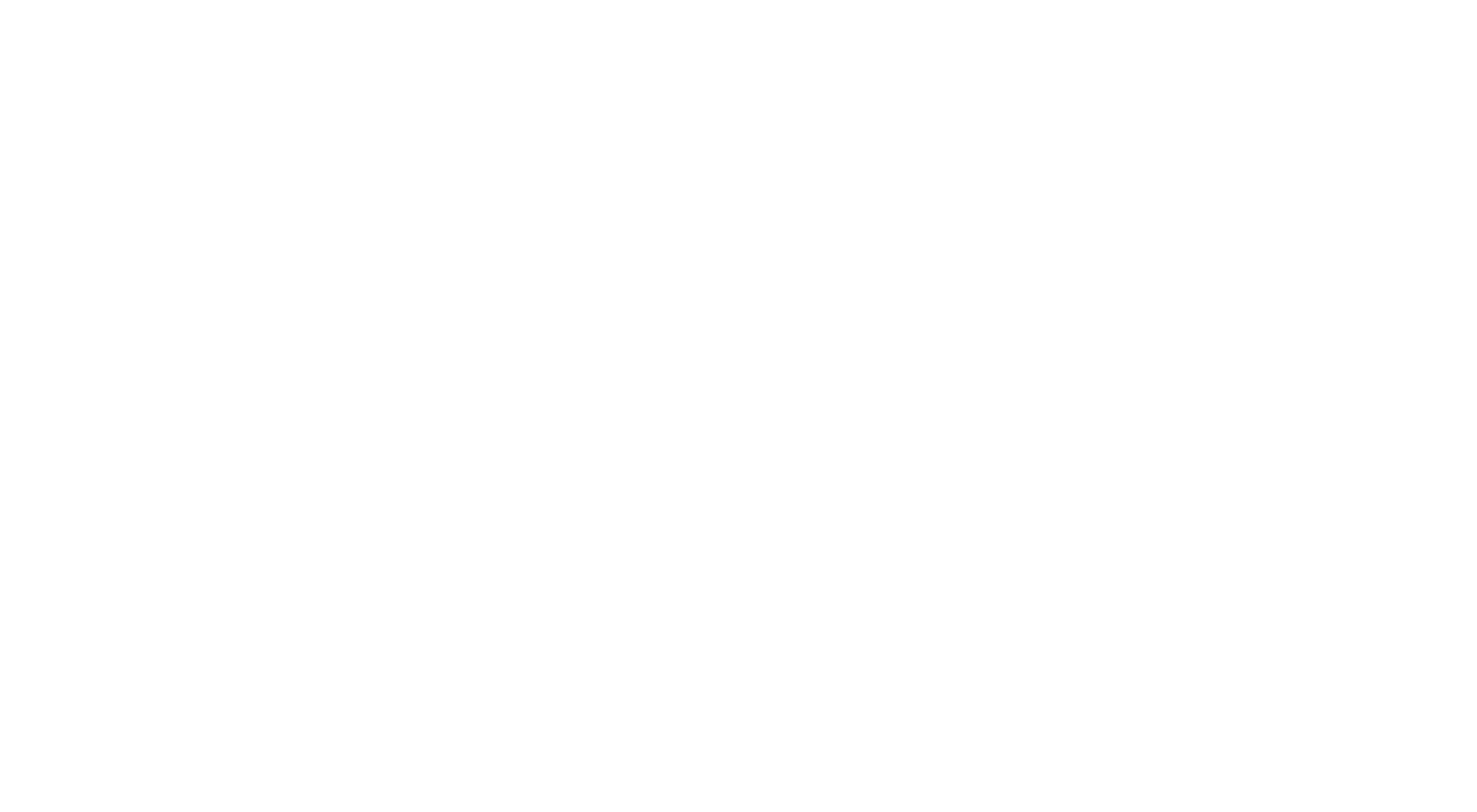 MDM Project company logo