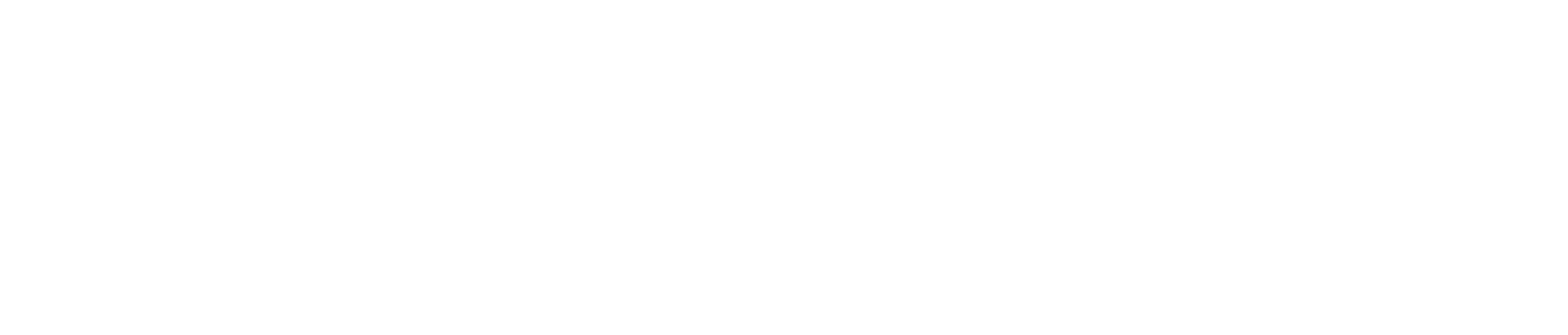 Sonax logo
