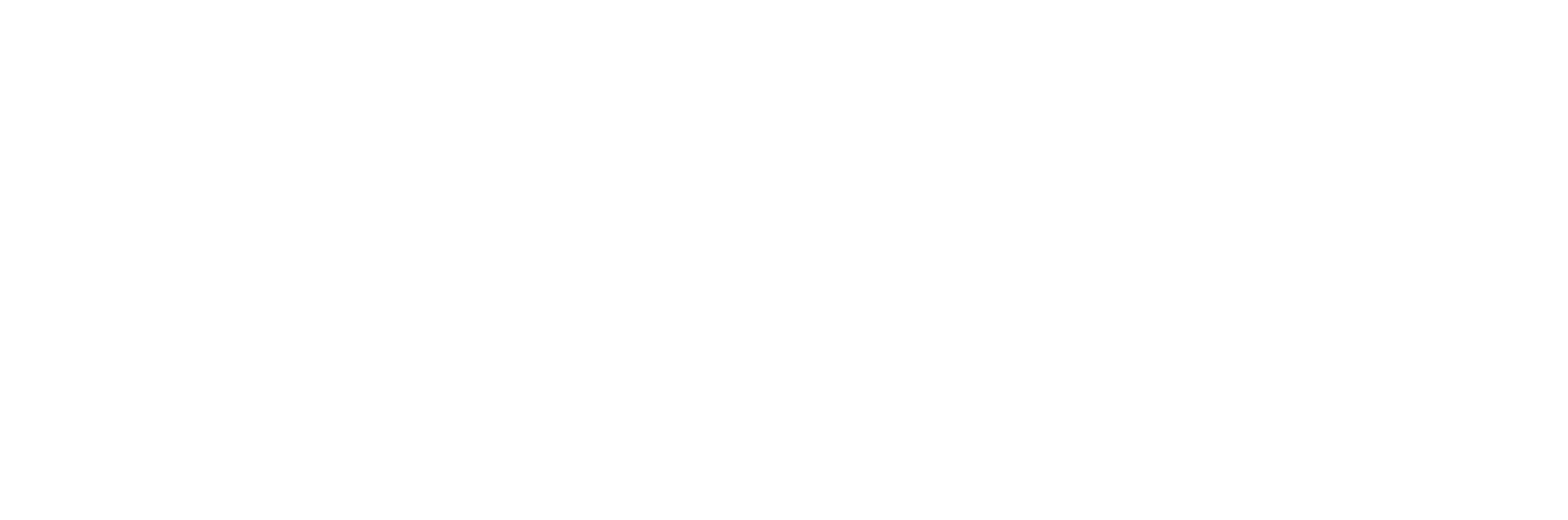 Bowi company logo