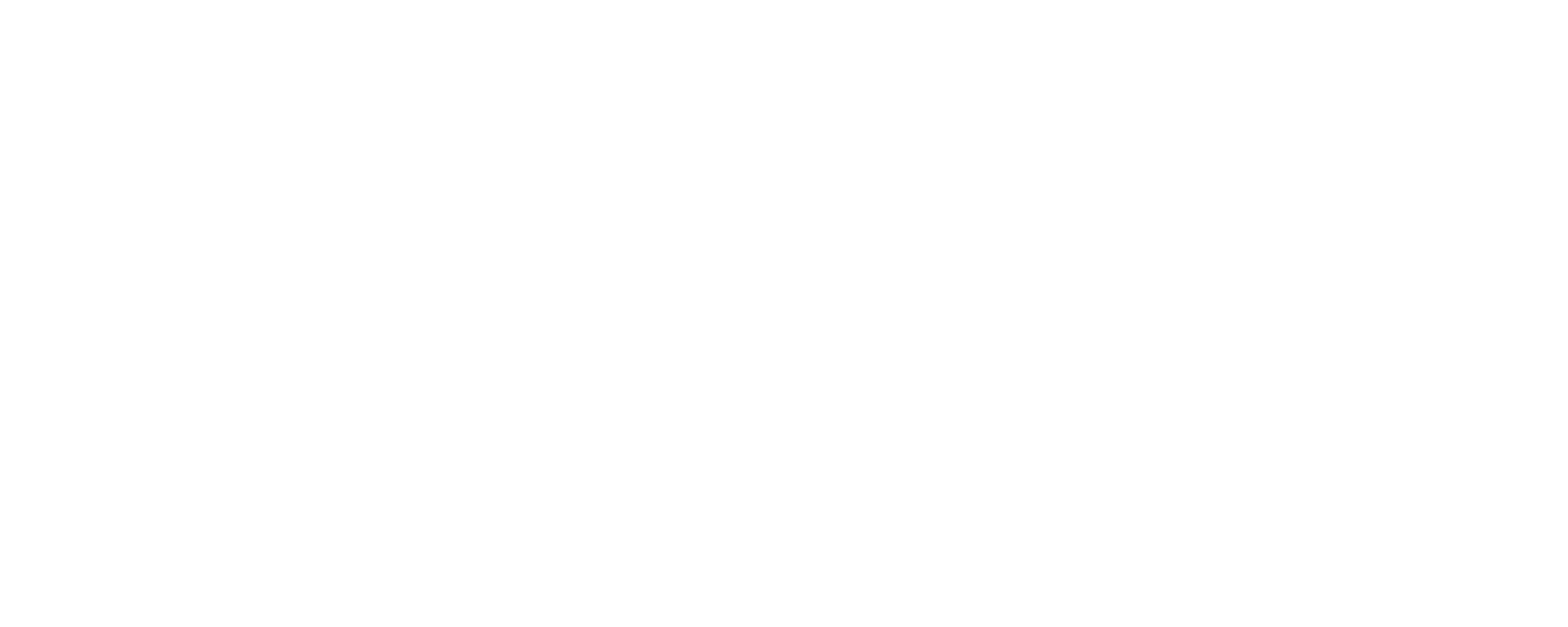 Parys company logo