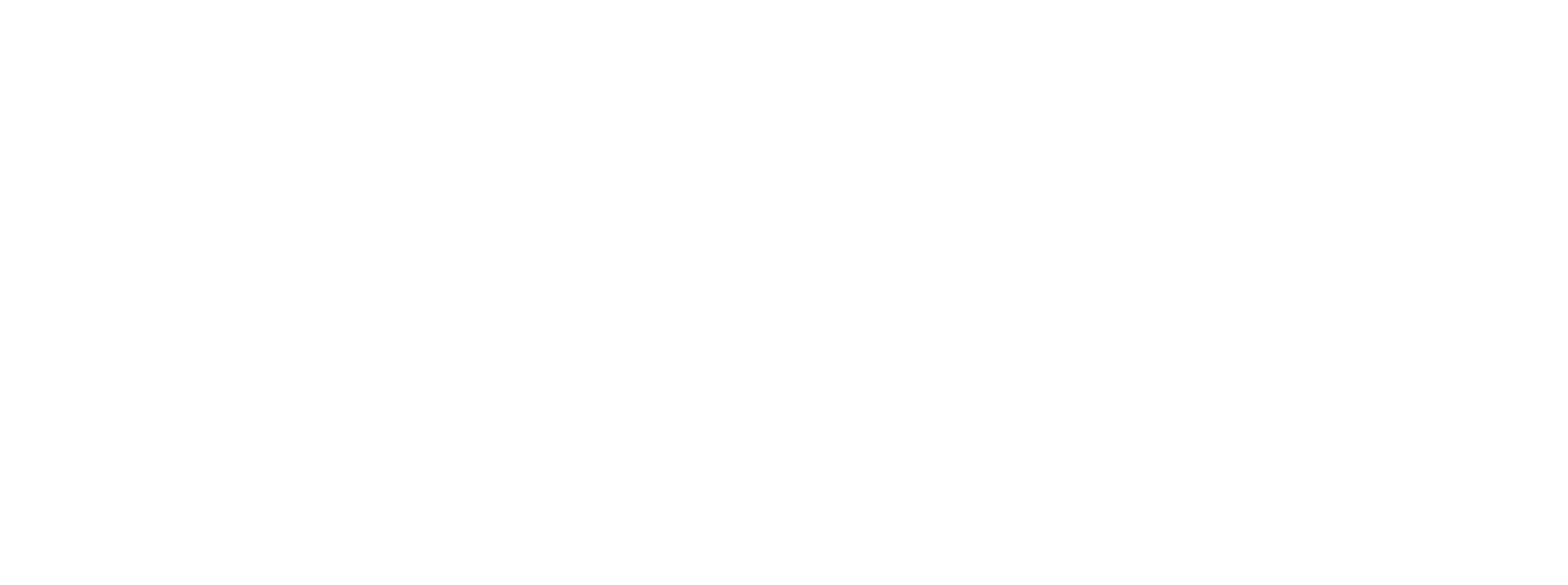 DPS Software logo