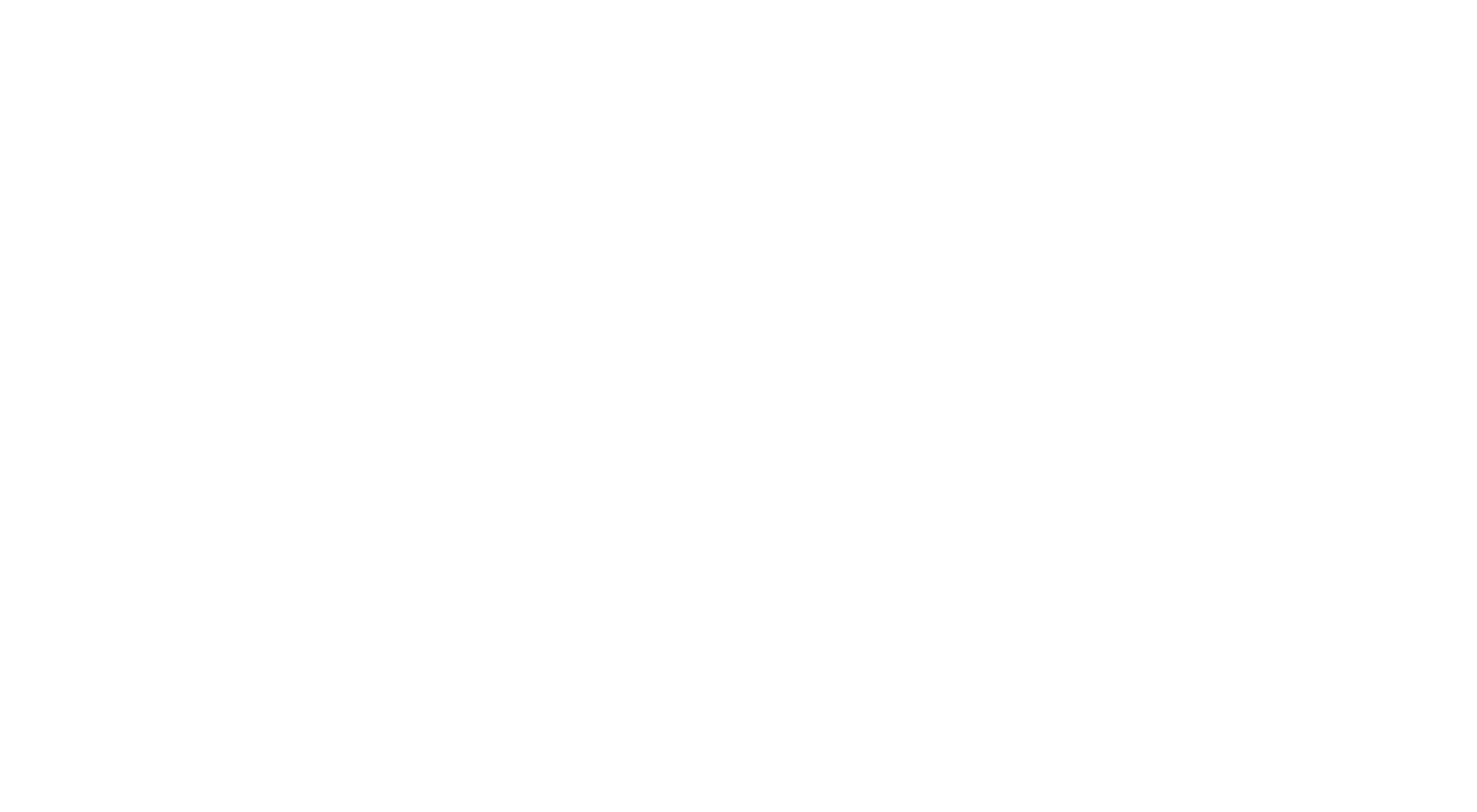 MDM Project company logo