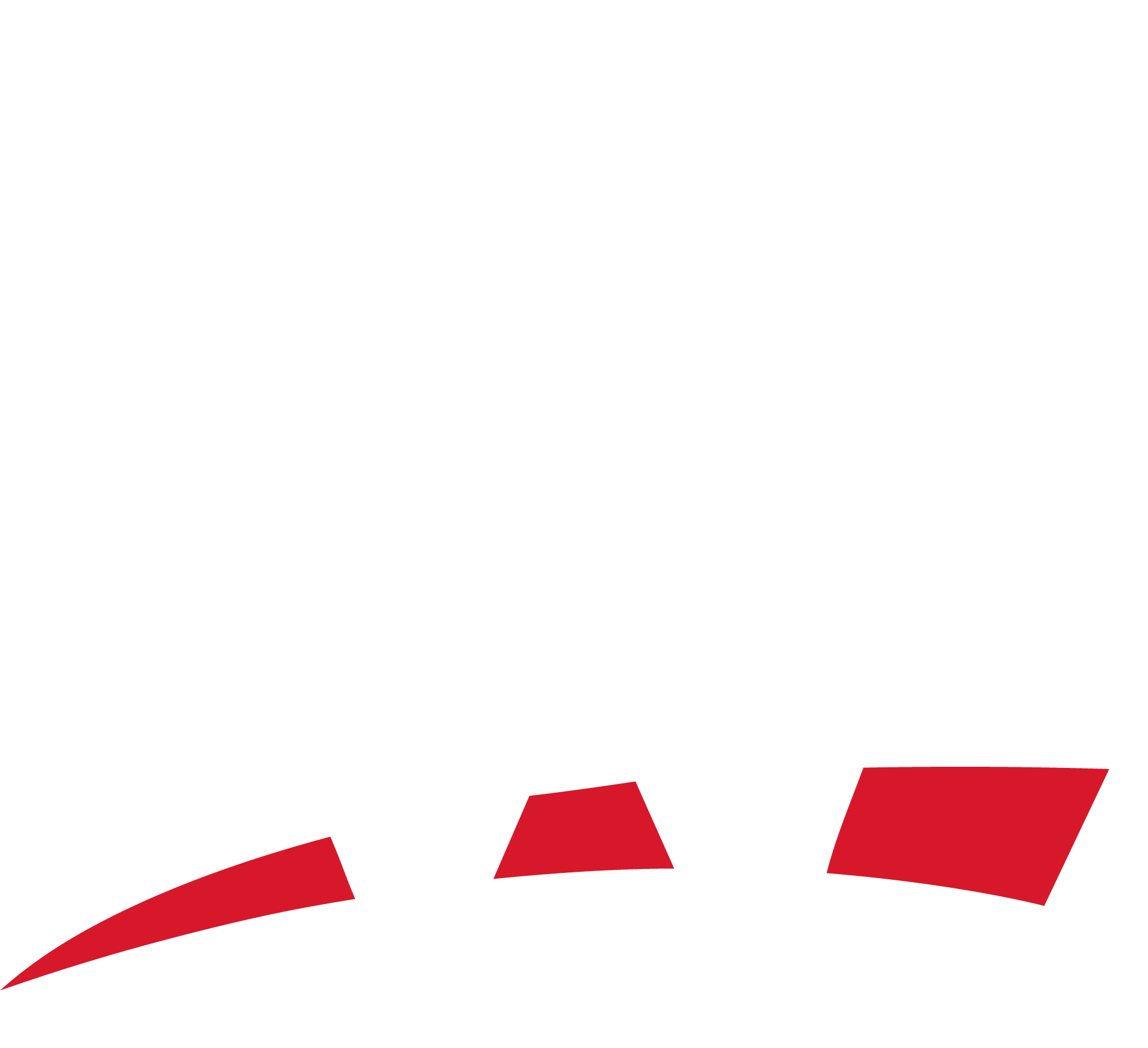 WWE Logo