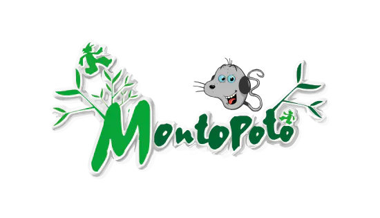 Logotype Montopoto - Publicom agence design et digitale