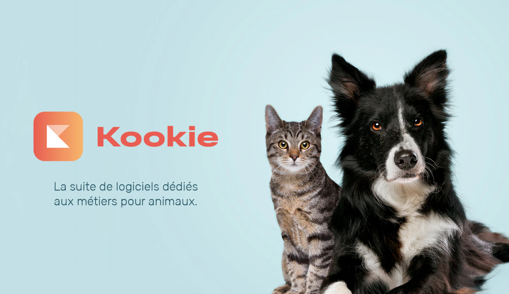 Kookie - Bannière avec chat et chien