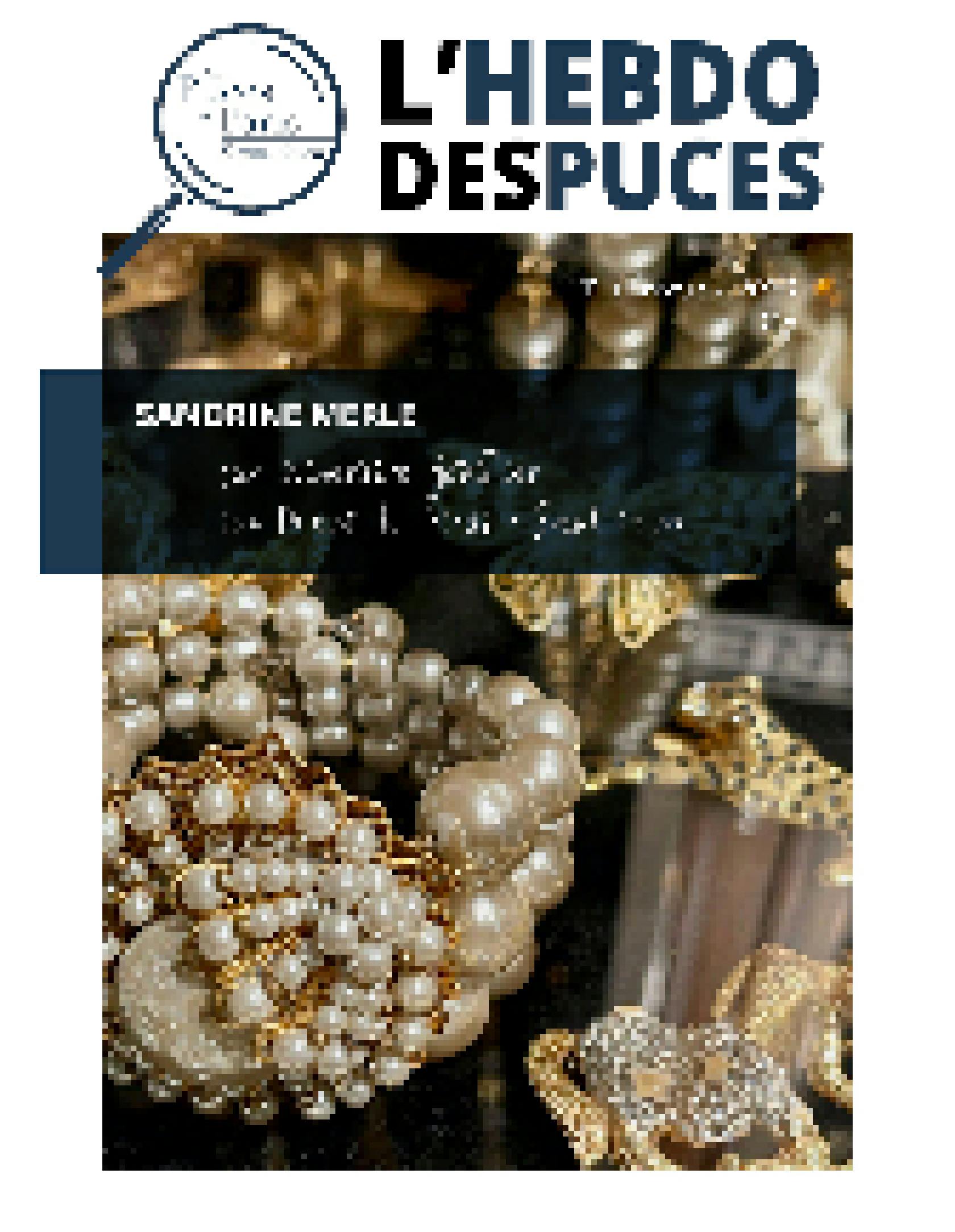 Hebdo des Puces N°13 couverture