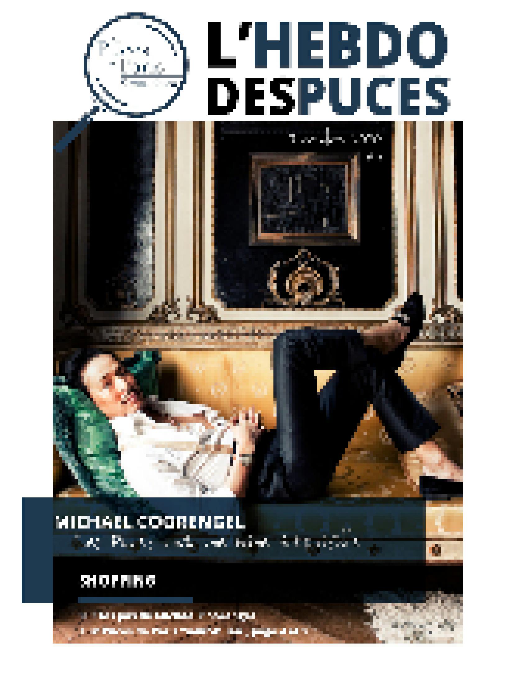 Hebdo des Puces N°6 couverture
