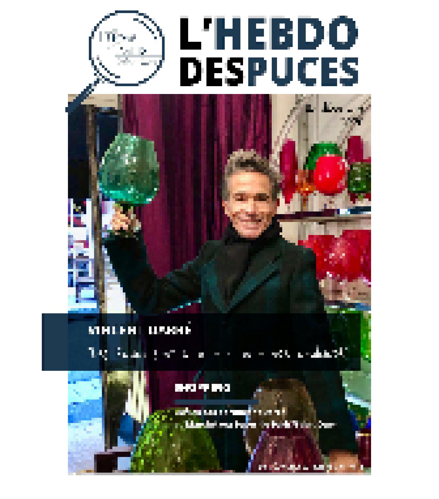 L'Hebdo des Puces N° 14 couverture