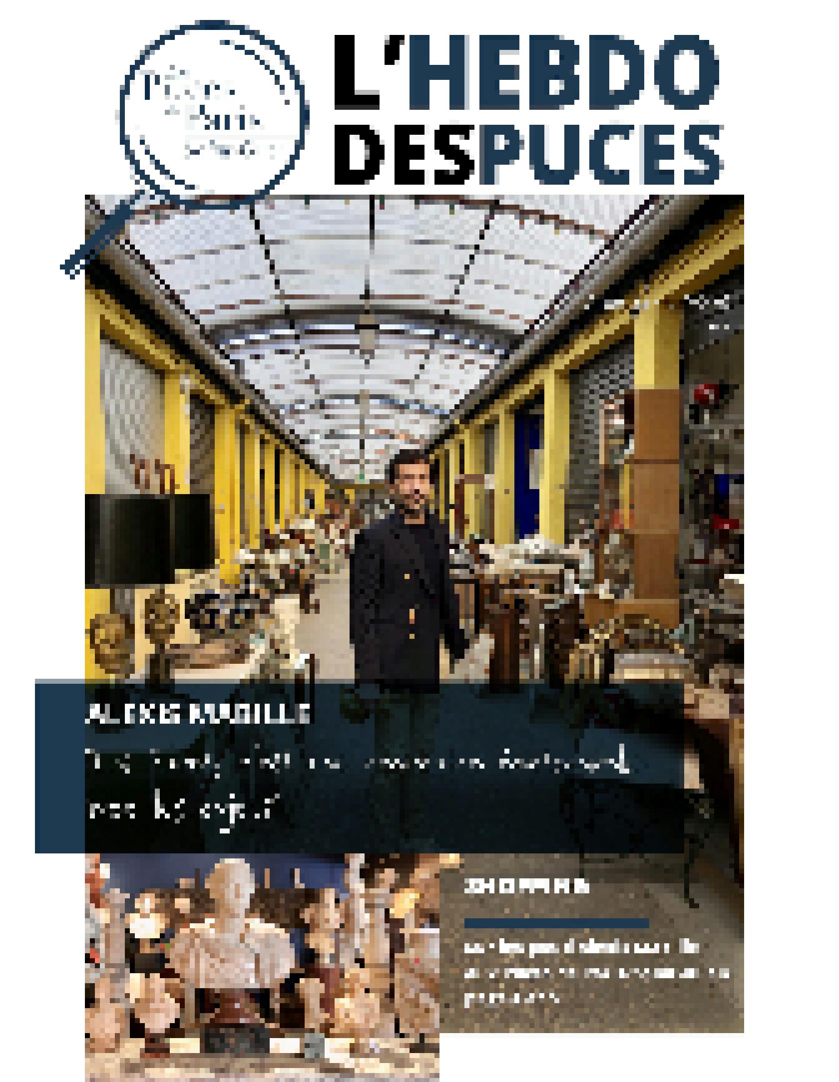 Hebdo des Puces N°5 Couverture