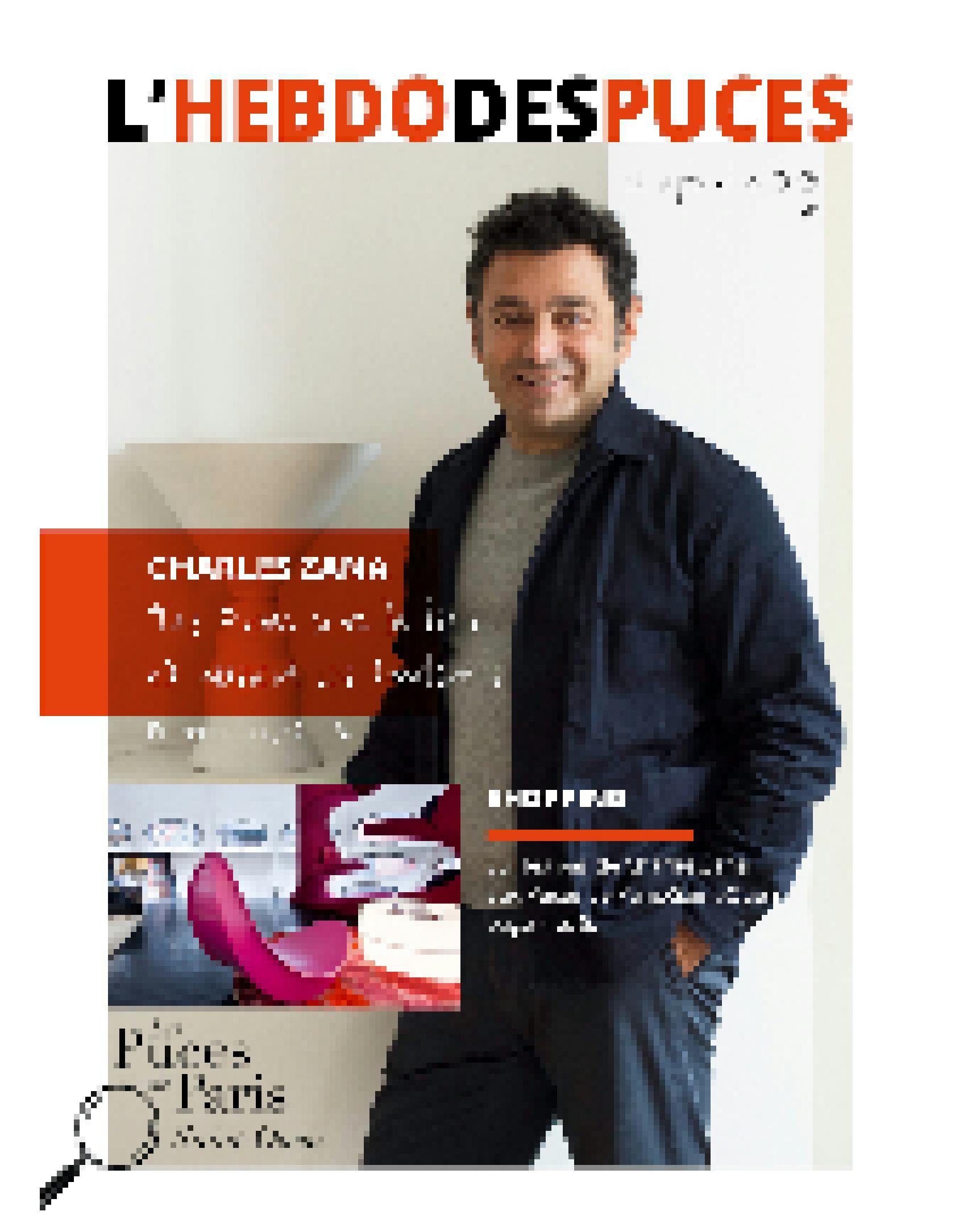 L'Hebdo des Puces N°2 couverture