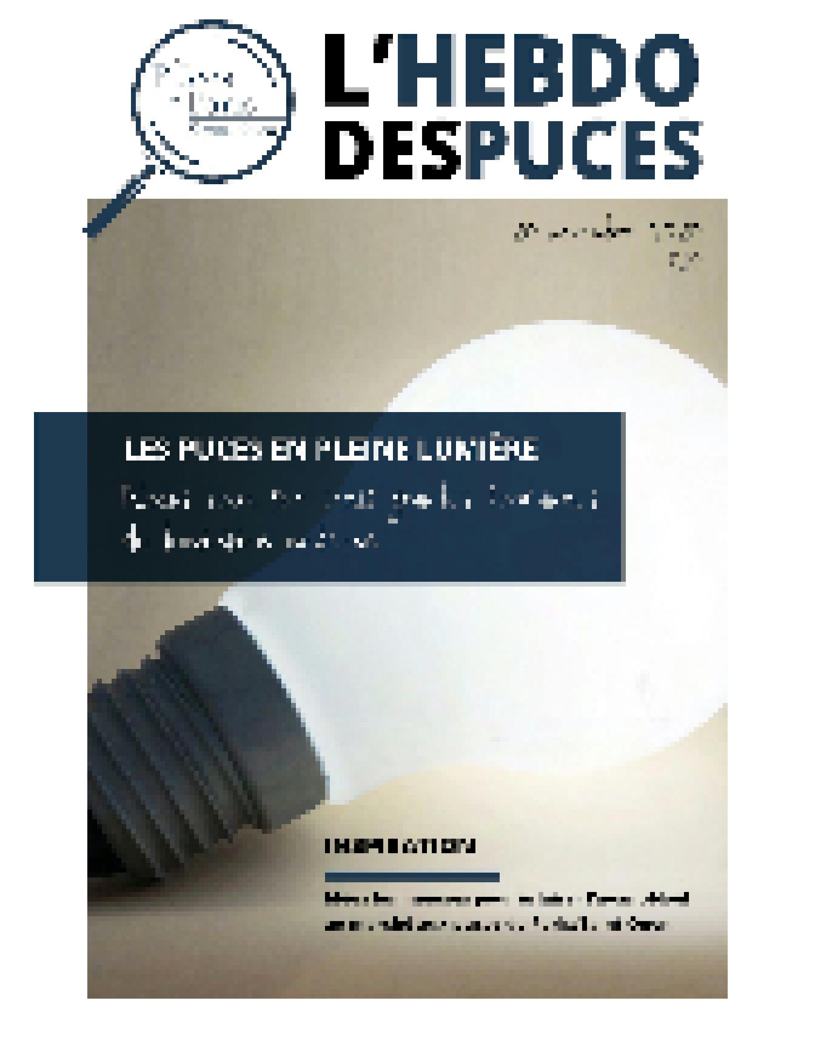 Hebdo des Puces N°10 couverture