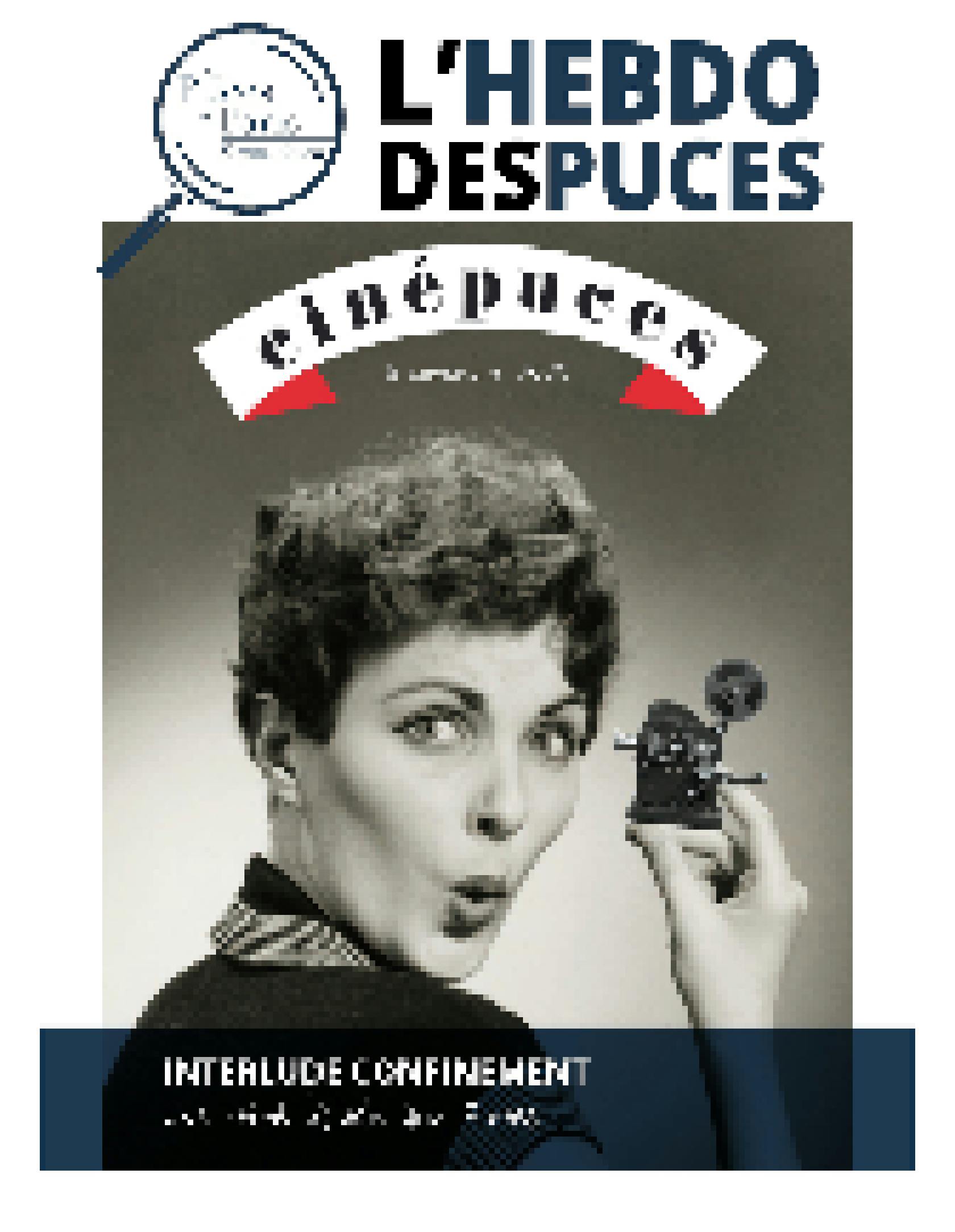 L'Hebdo des Puces du 6 novembre 2020 couverture