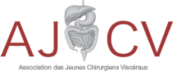 Logo AJCV