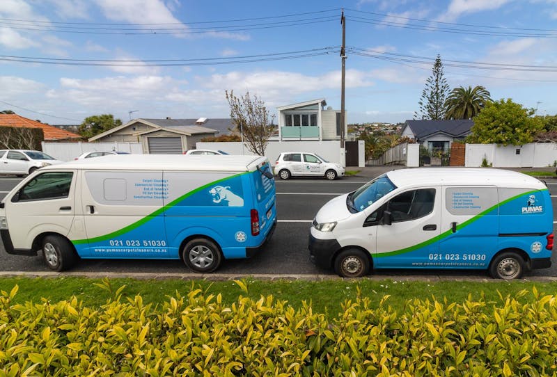 pumas carpet cleaning auckland area