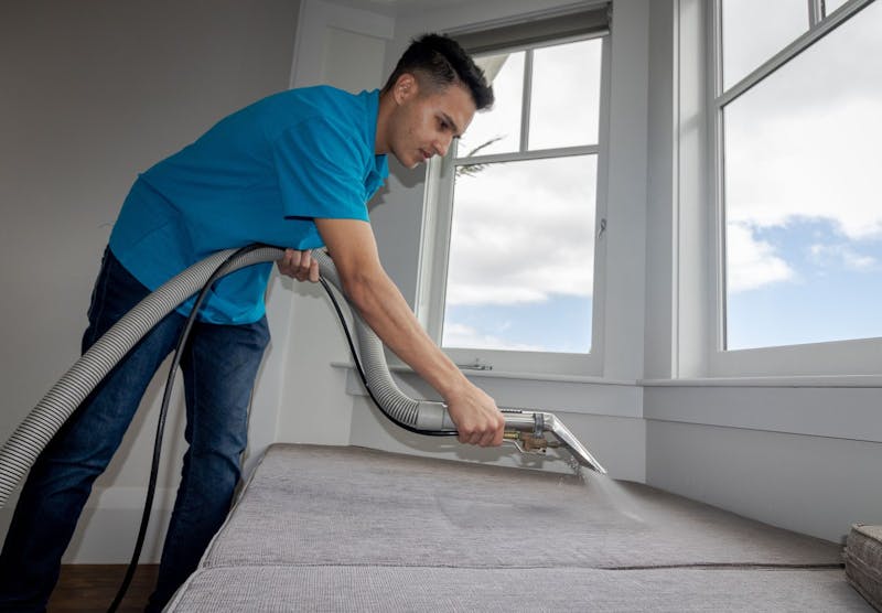 Pumas carpet cleaning residential