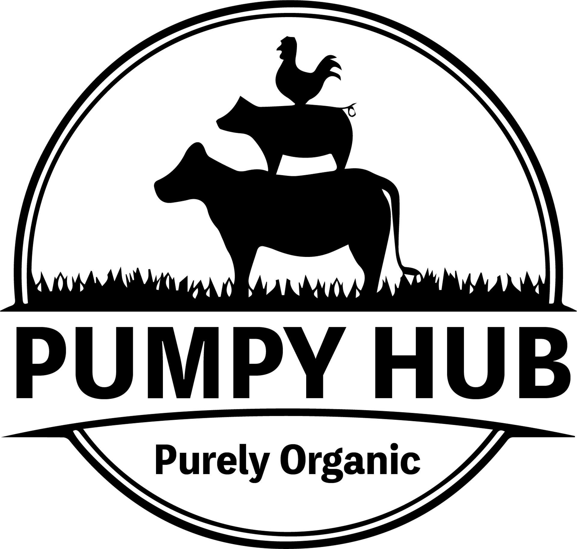 Pumpy Hub