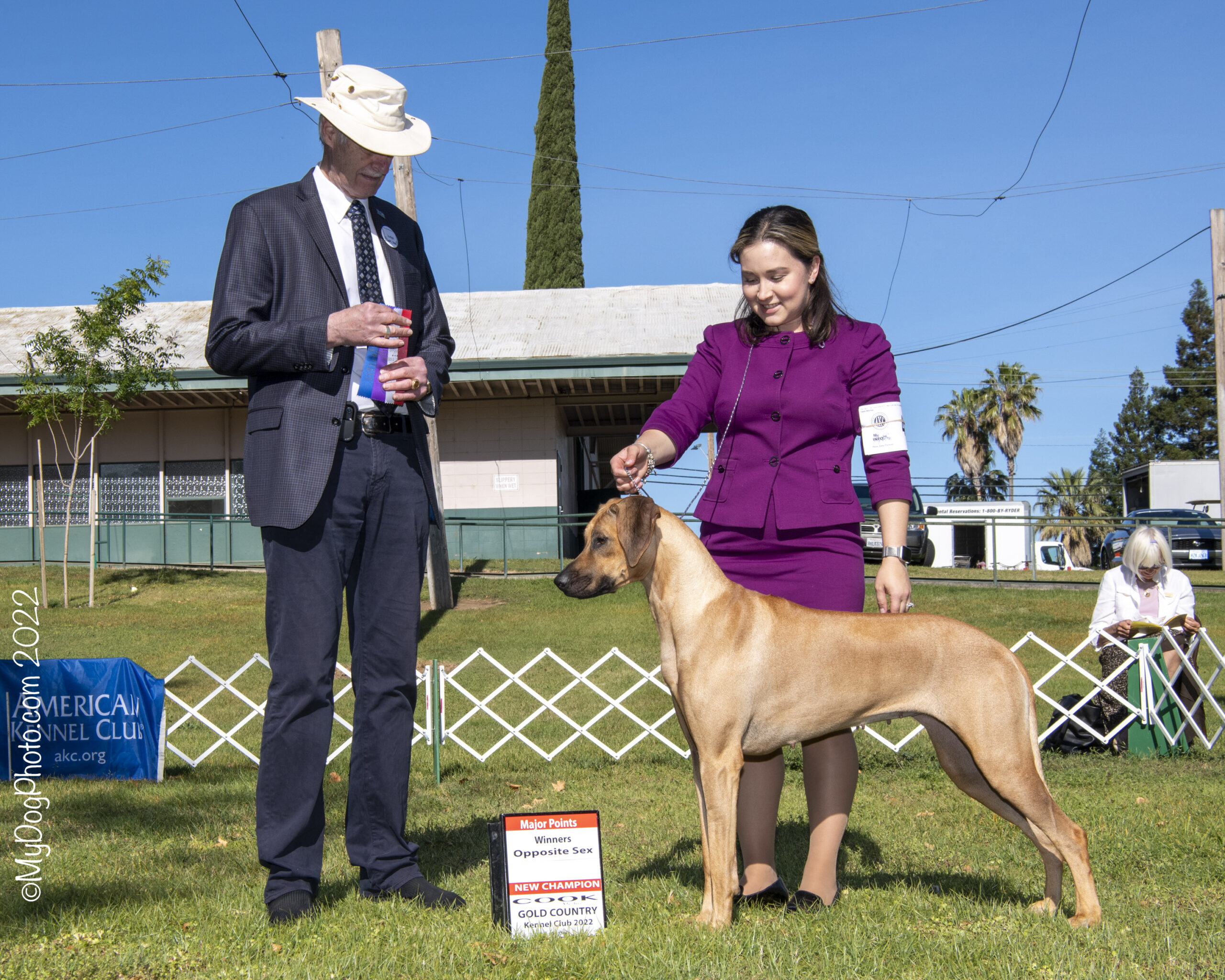 Bunny - Pupukeadridge Rhodesian Ridgebacks