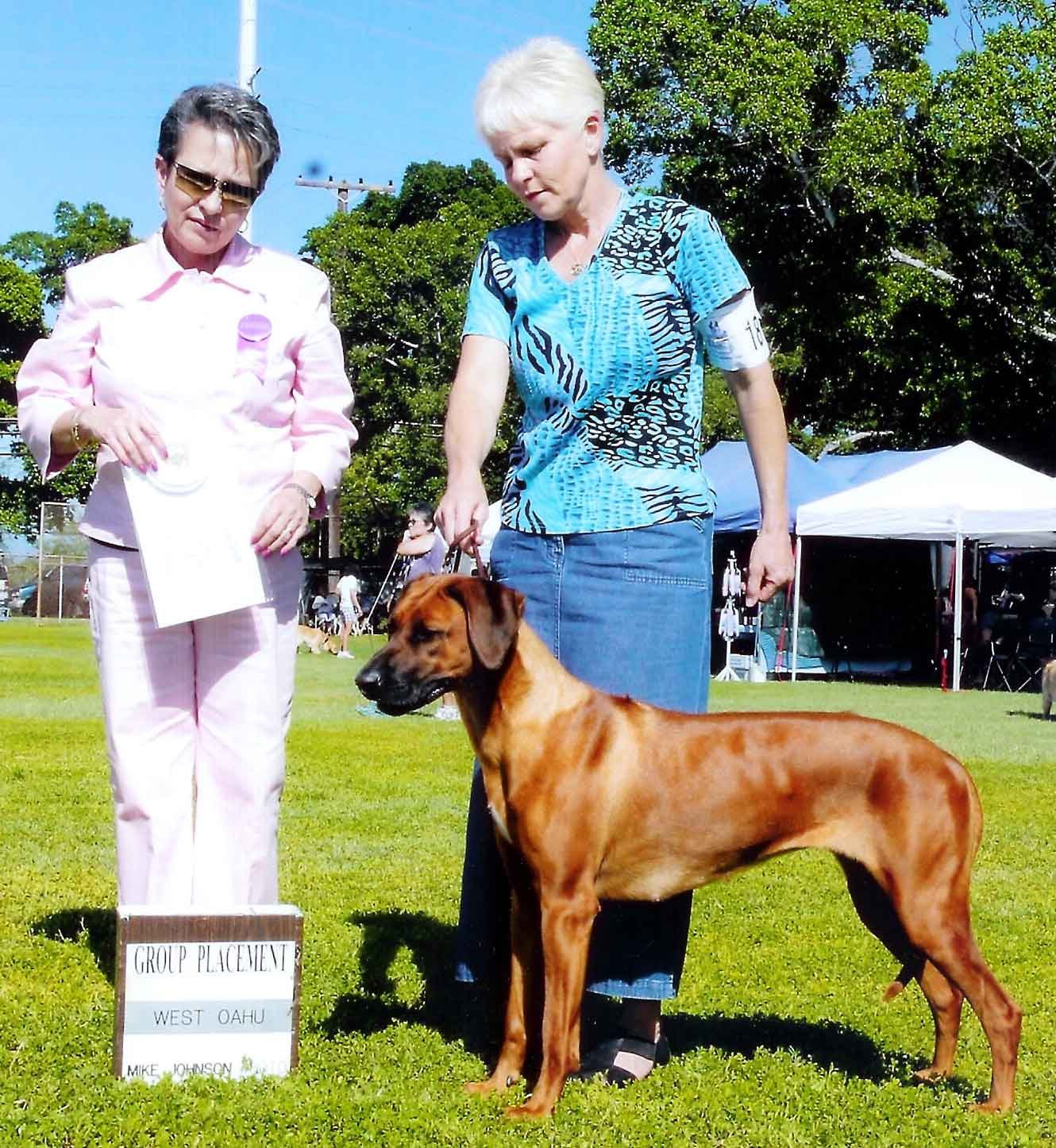 Kela - Pupukeadridge Rhodesian Ridgebacks