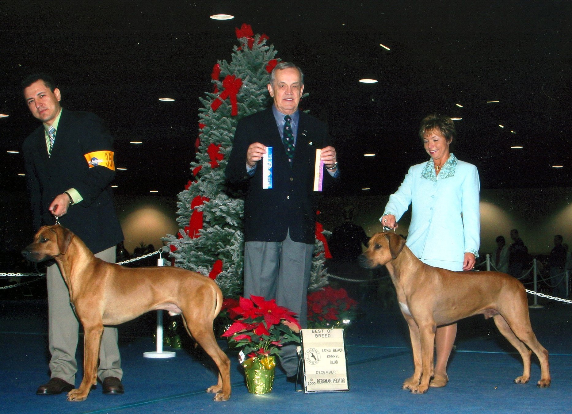 Conner - Pupukeadridge Rhodesian Ridgebacks