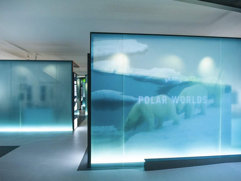 Polar Worlds exhibition gallery © National Maritime Museum, London