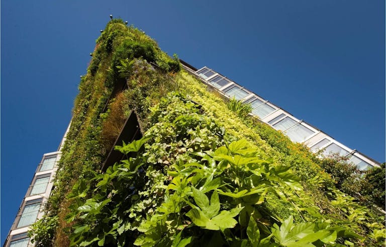 The 'living wall' at the luxury Athenaeum Hotel, London