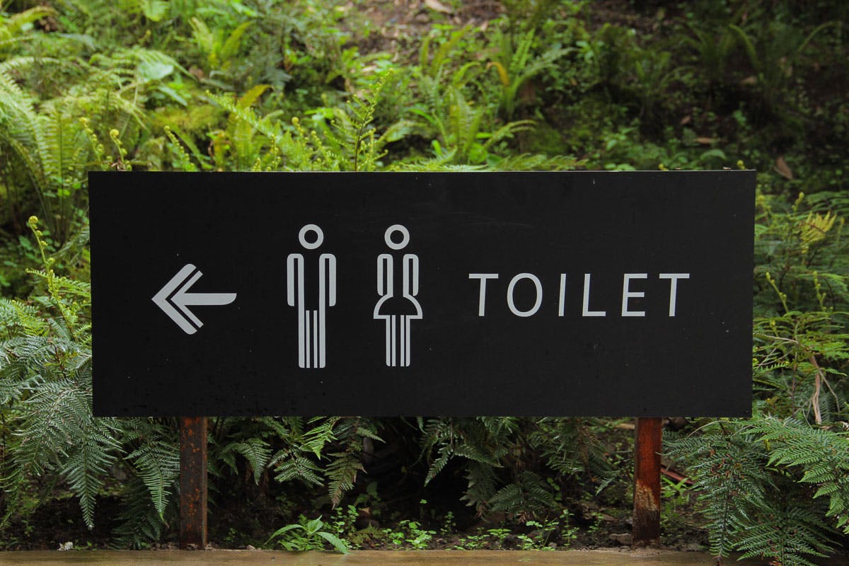 Der Weg zur Toilette bei Harnwegsinfekten