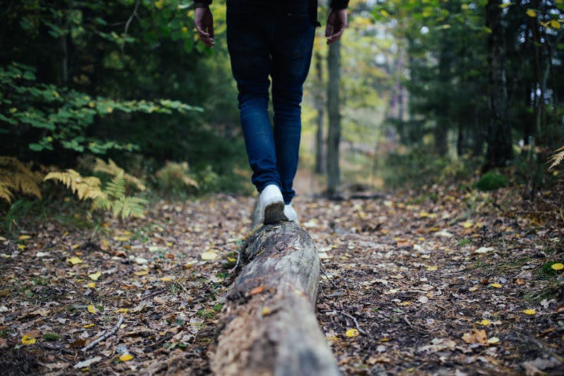 Entspannte Spaziergänge im Wald sind ein gutes Mittel, um Stress vorzubeugen.