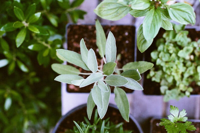 Stress ohne Grund? Mit den richtigen Düften und Aromen lässt sich Stress abbauen.