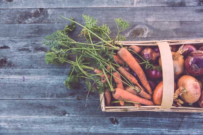 Frisches Gemüse gehört zu einer ausgewogenen Ernährung dazu - Unterstützung bietet auch die Orthomolekulare Medizin