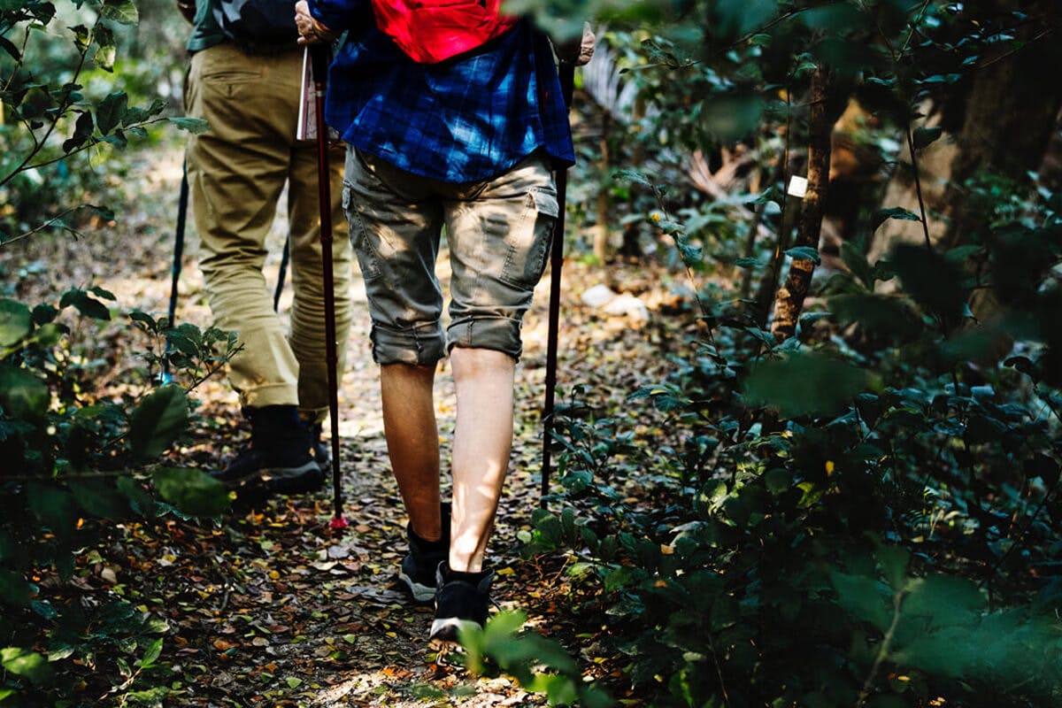 Zwei ältere Männer wandern im Wald.